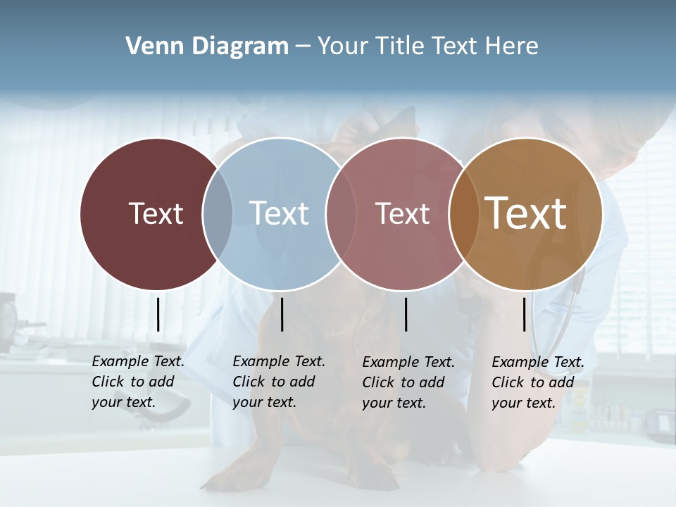 Big Isolated Dirt PowerPoint Template