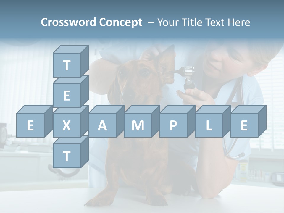 Big Isolated Dirt PowerPoint Template