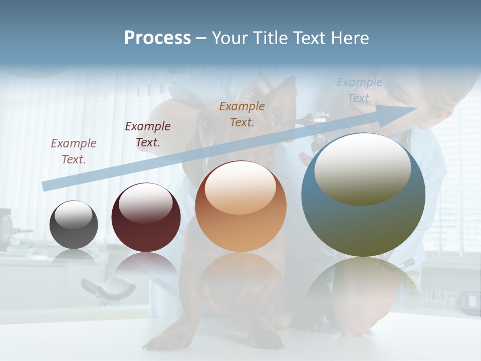 Big Isolated Dirt PowerPoint Template