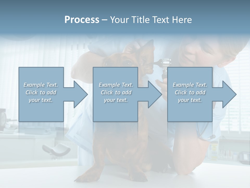 Big Isolated Dirt PowerPoint Template