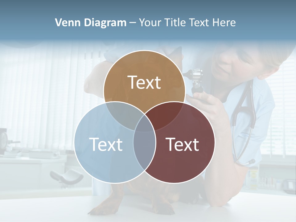 Big Isolated Dirt PowerPoint Template