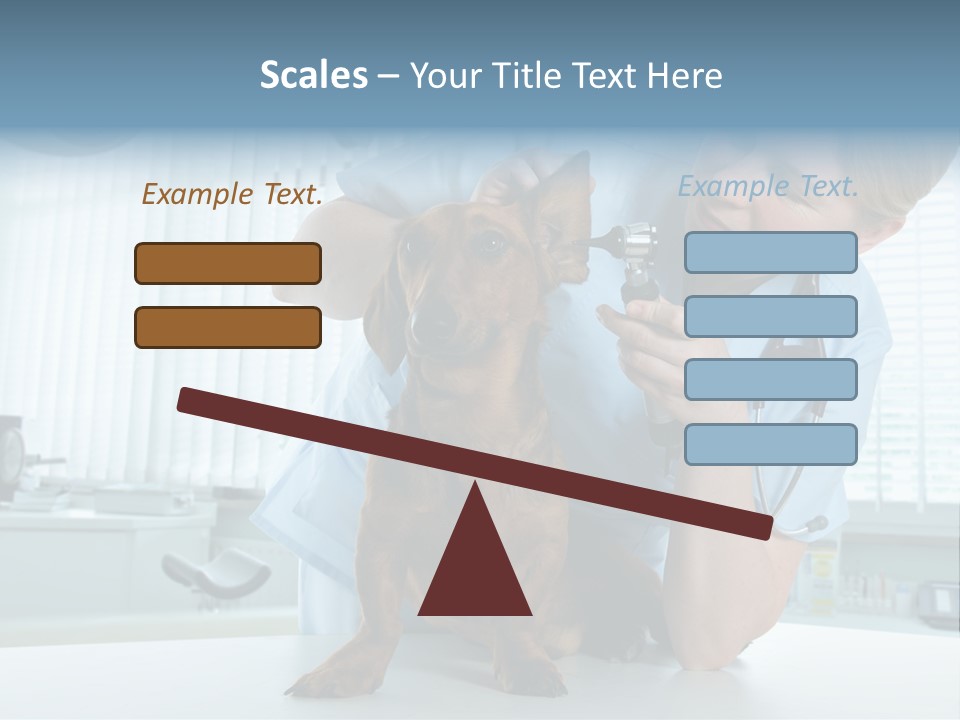 Big Isolated Dirt PowerPoint Template