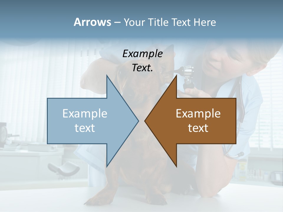 Big Isolated Dirt PowerPoint Template