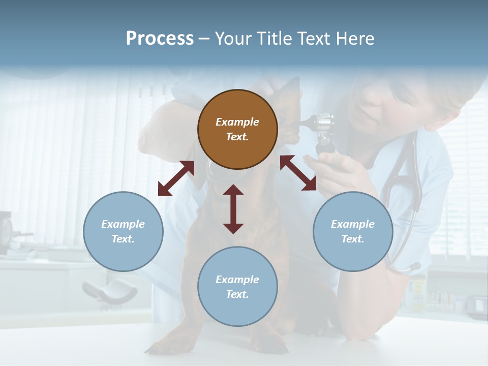 Big Isolated Dirt PowerPoint Template