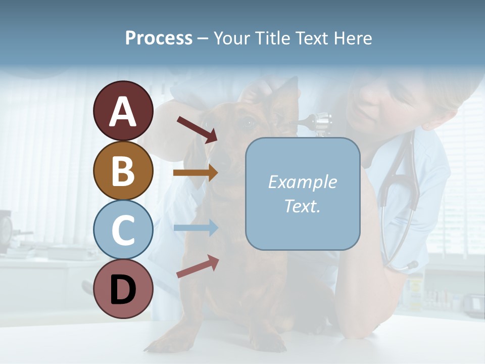 Big Isolated Dirt PowerPoint Template