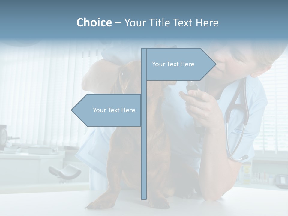 Big Isolated Dirt PowerPoint Template