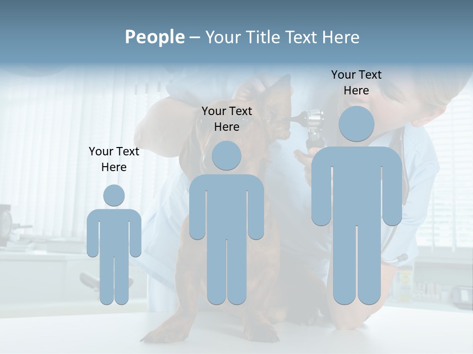 Big Isolated Dirt PowerPoint Template