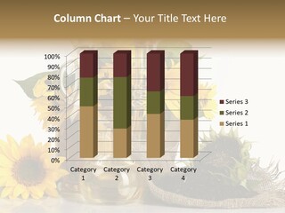 Sunflower Vegetable Oil PowerPoint Template