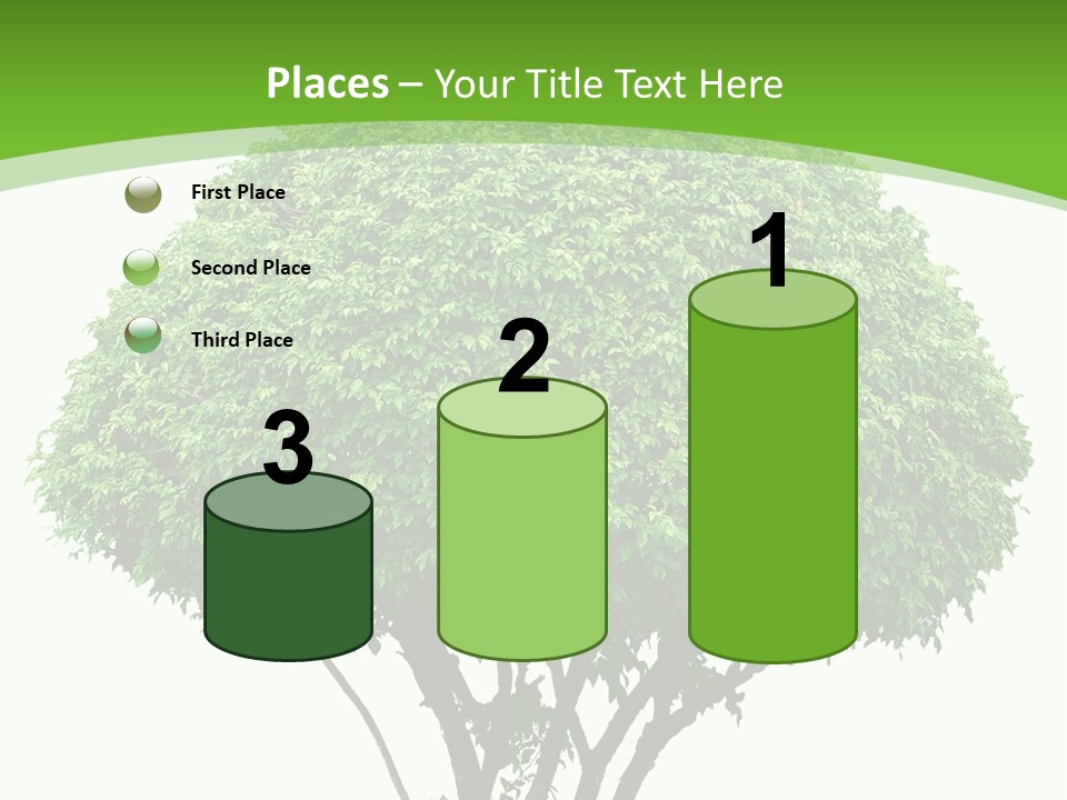 Wood Green Maple PowerPoint Template