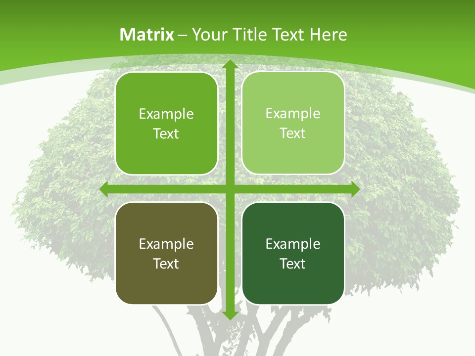 Wood Green Maple PowerPoint Template