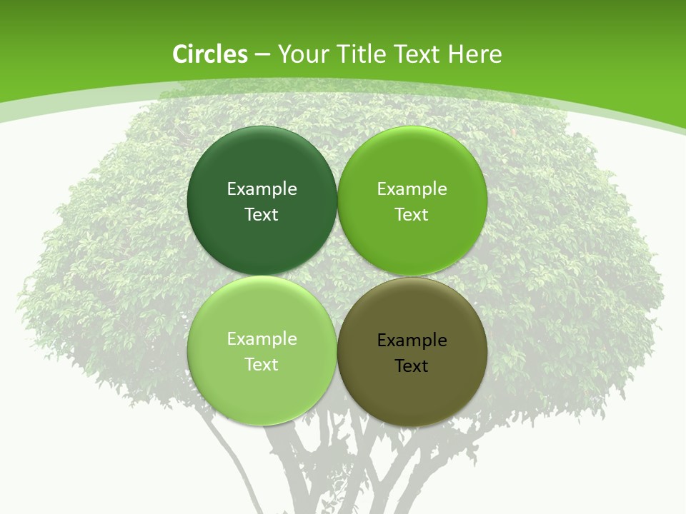 Wood Green Maple PowerPoint Template