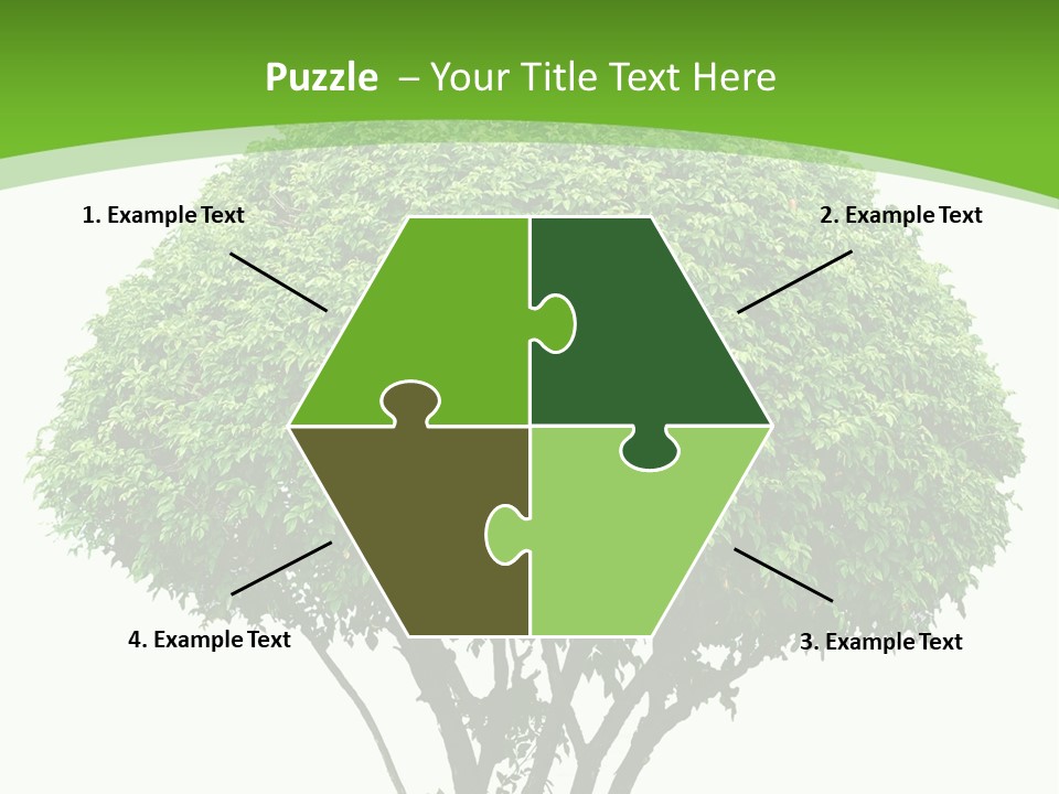 Wood Green Maple PowerPoint Template