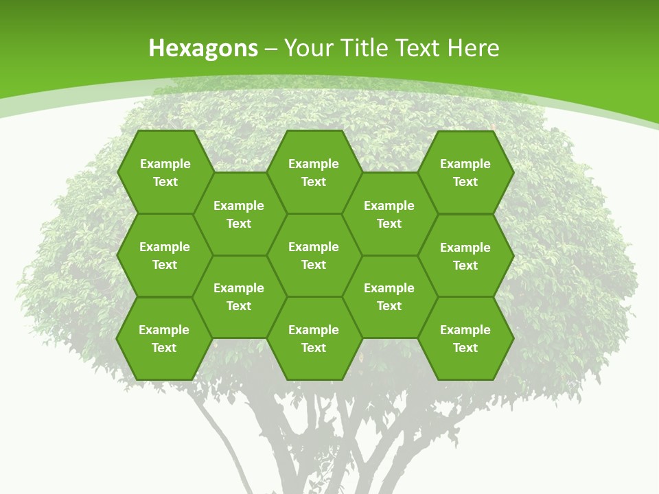 Wood Green Maple PowerPoint Template