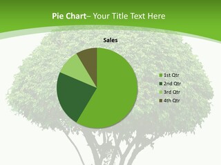 Wood Green Maple PowerPoint Template