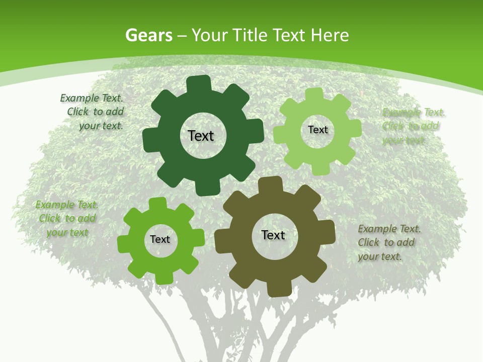 Wood Green Maple PowerPoint Template