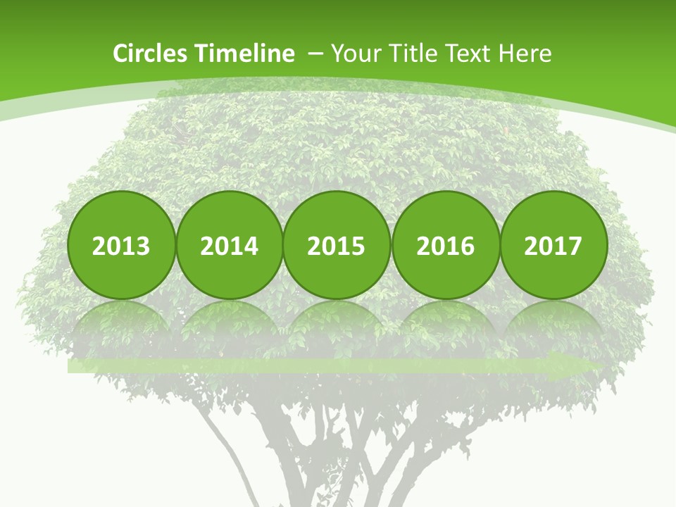 Wood Green Maple PowerPoint Template