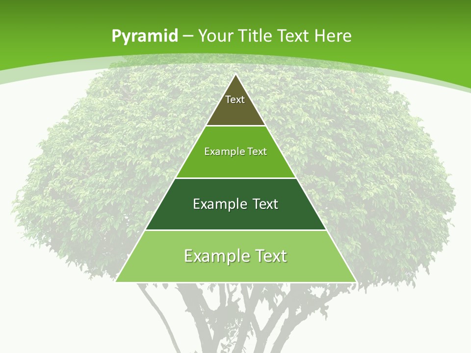 Wood Green Maple PowerPoint Template