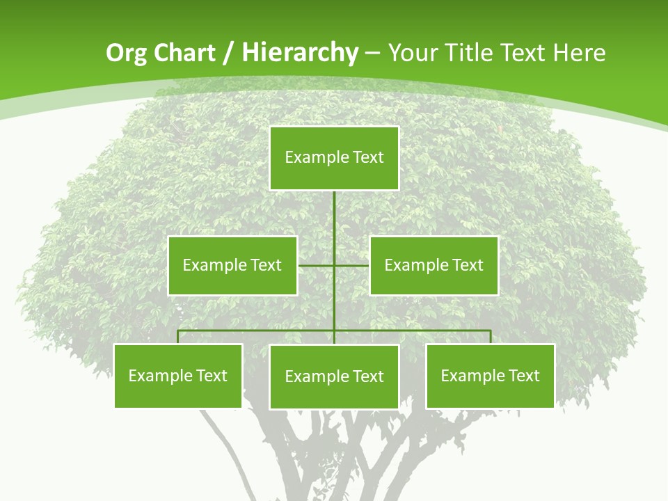 Wood Green Maple PowerPoint Template