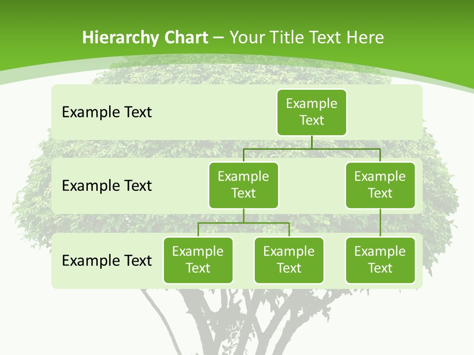 Wood Green Maple PowerPoint Template