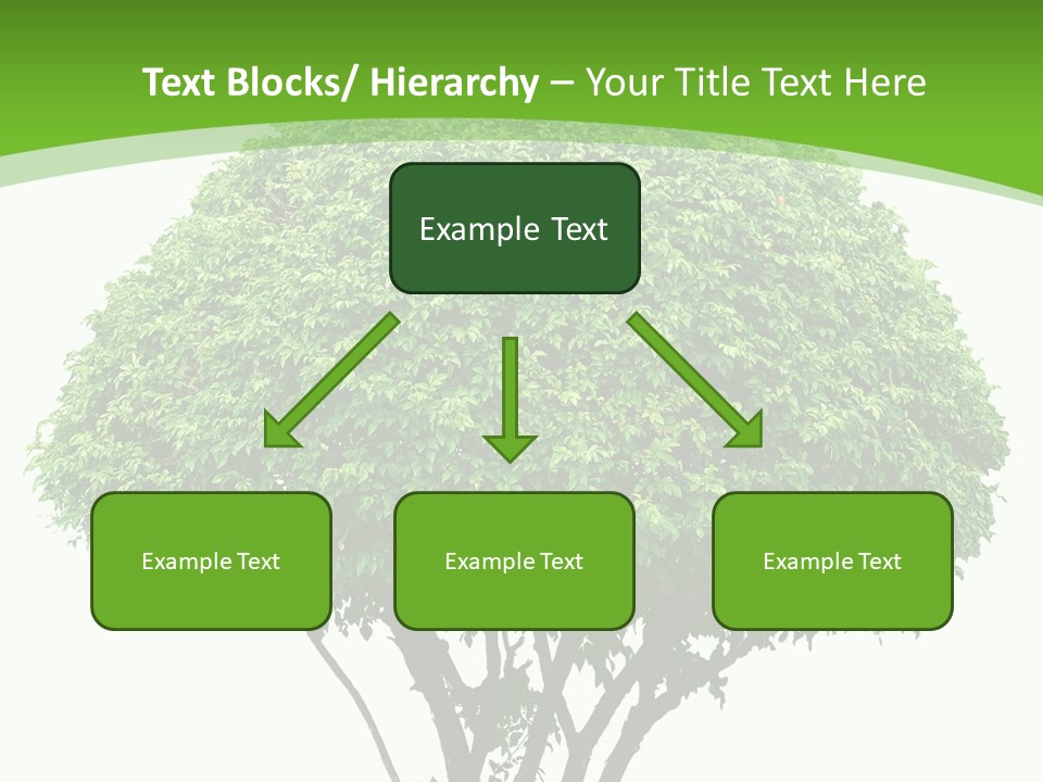 Wood Green Maple PowerPoint Template