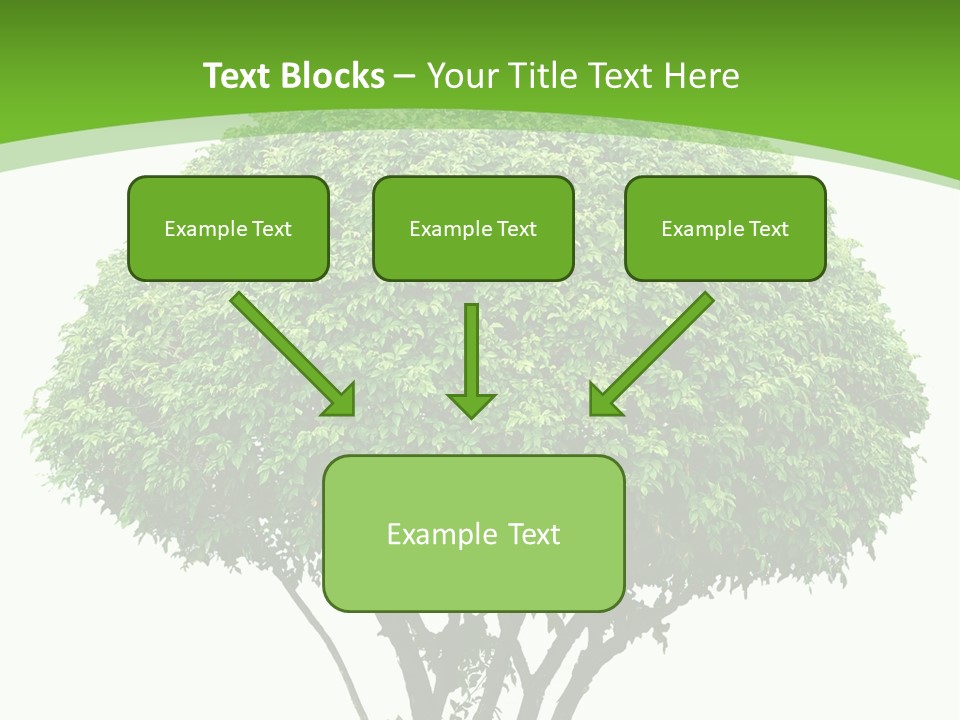 Wood Green Maple PowerPoint Template