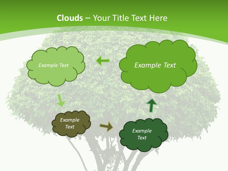 Wood Green Maple PowerPoint Template