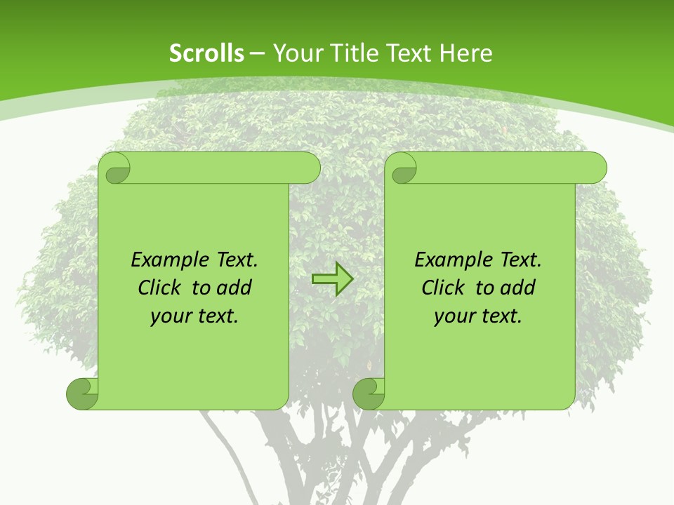 Wood Green Maple PowerPoint Template