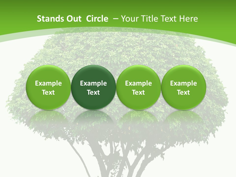 Wood Green Maple PowerPoint Template