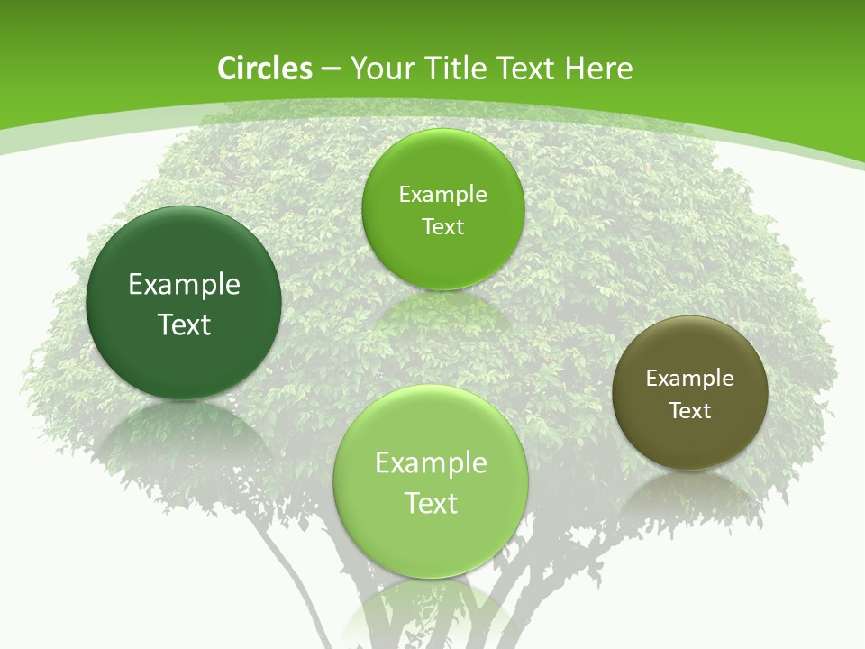 Wood Green Maple PowerPoint Template