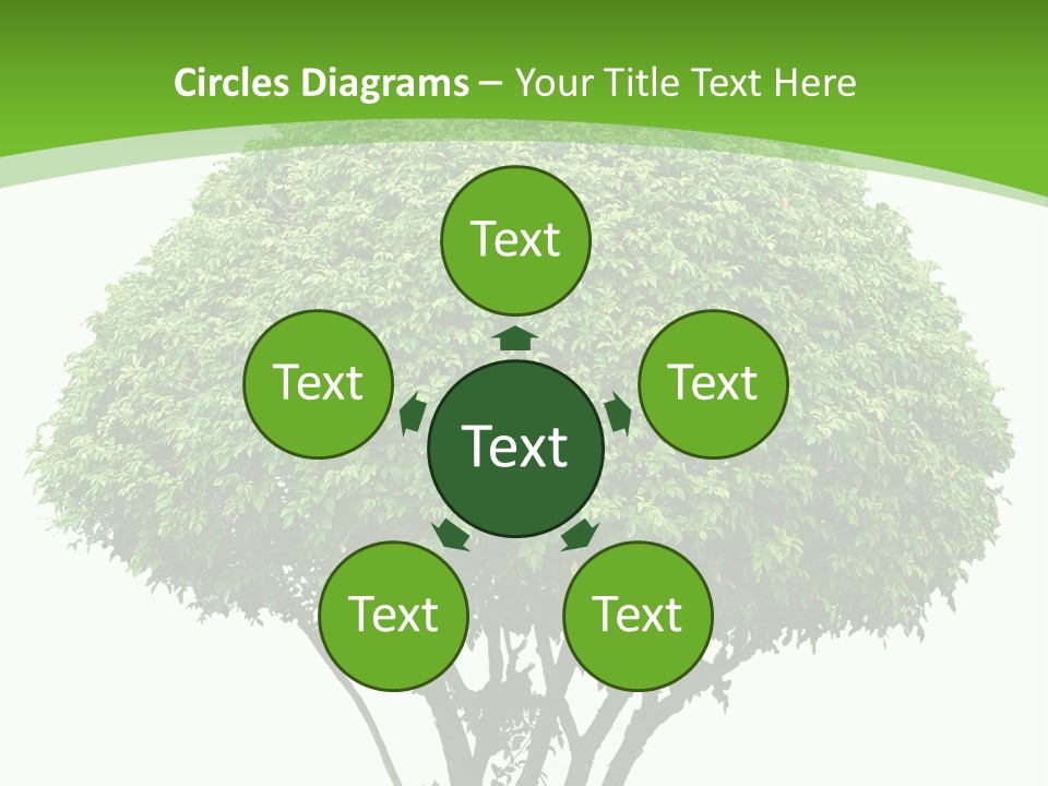 Wood Green Maple PowerPoint Template