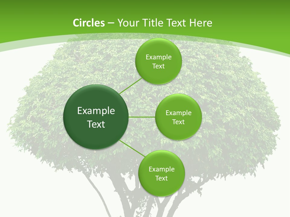 Wood Green Maple PowerPoint Template