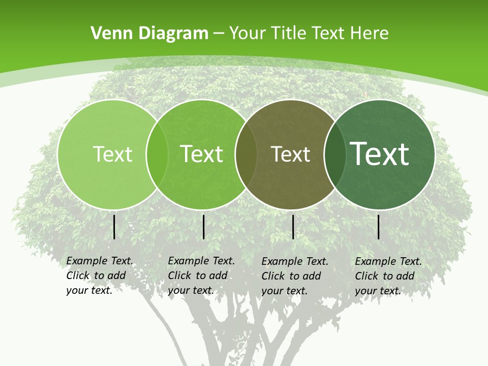 Wood Green Maple PowerPoint Template