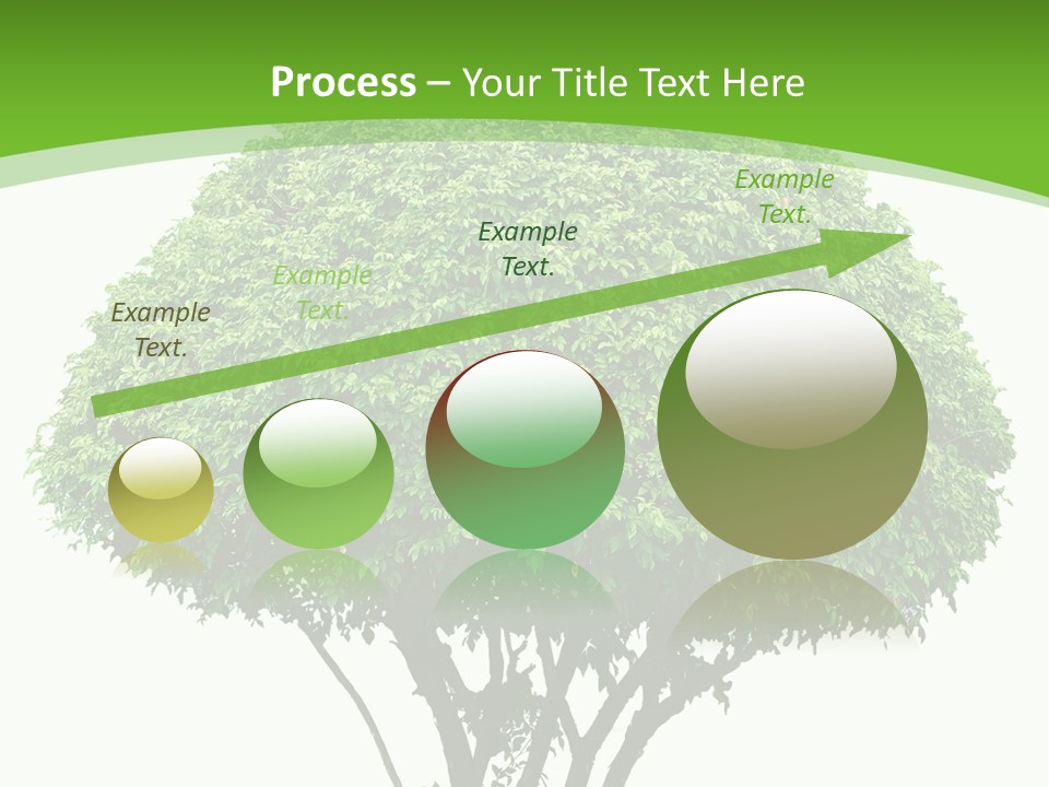 Wood Green Maple PowerPoint Template