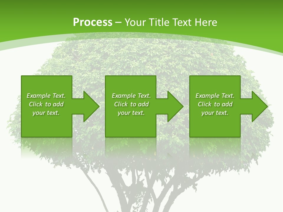 Wood Green Maple PowerPoint Template