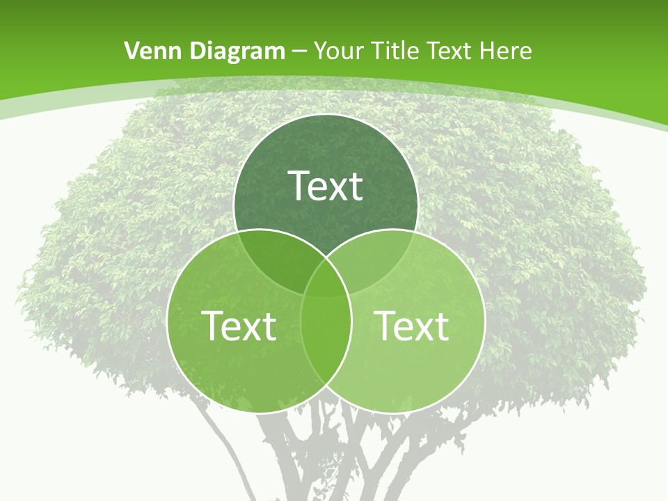 Wood Green Maple PowerPoint Template