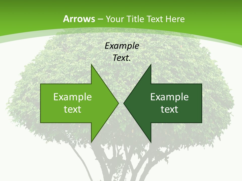 Wood Green Maple PowerPoint Template