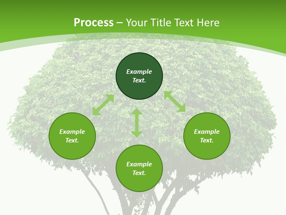Wood Green Maple PowerPoint Template
