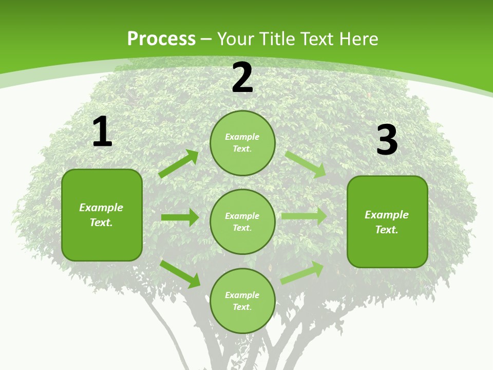 Wood Green Maple PowerPoint Template