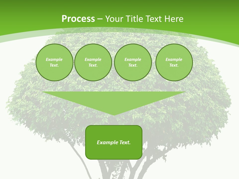 Wood Green Maple PowerPoint Template