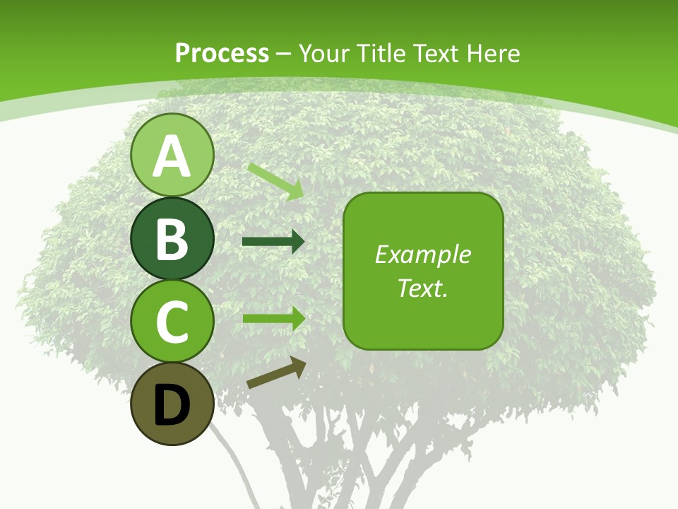 Wood Green Maple PowerPoint Template