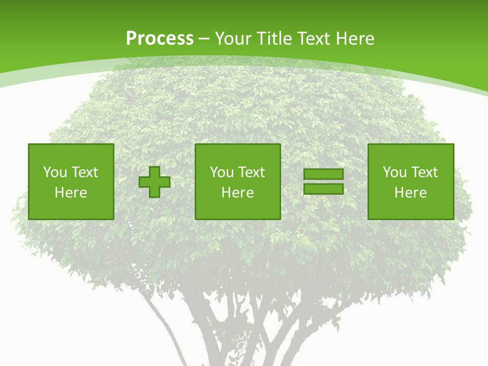 Wood Green Maple PowerPoint Template