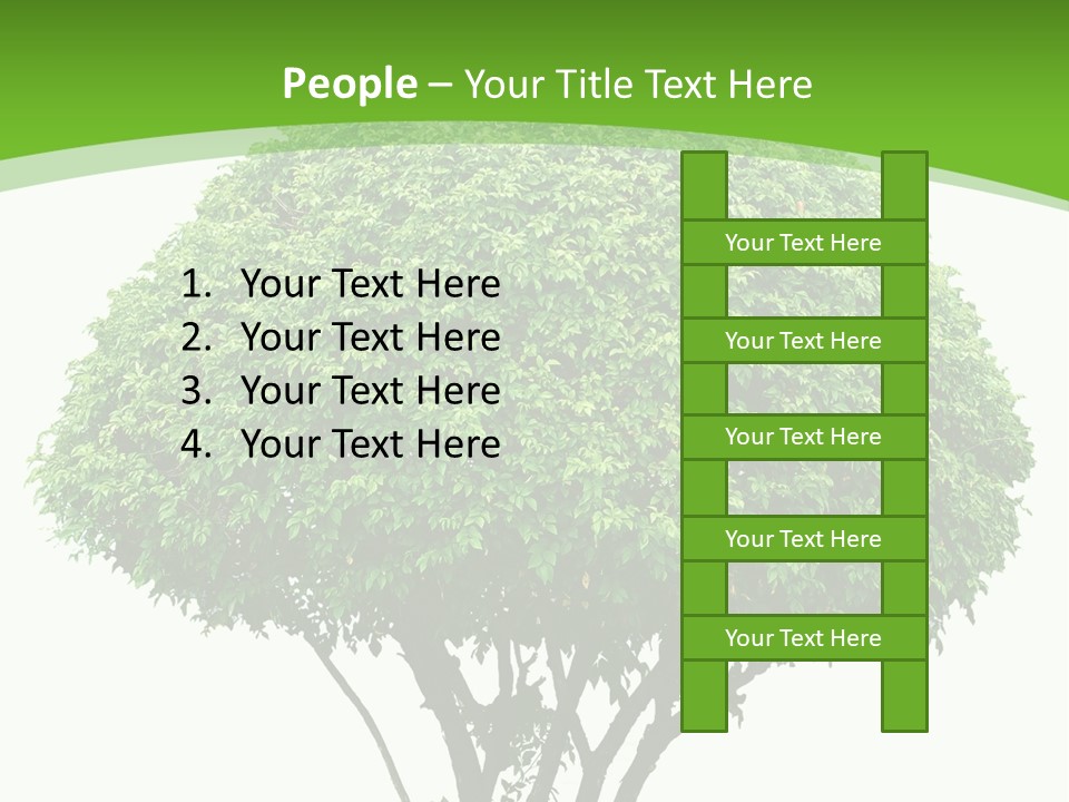 Wood Green Maple PowerPoint Template
