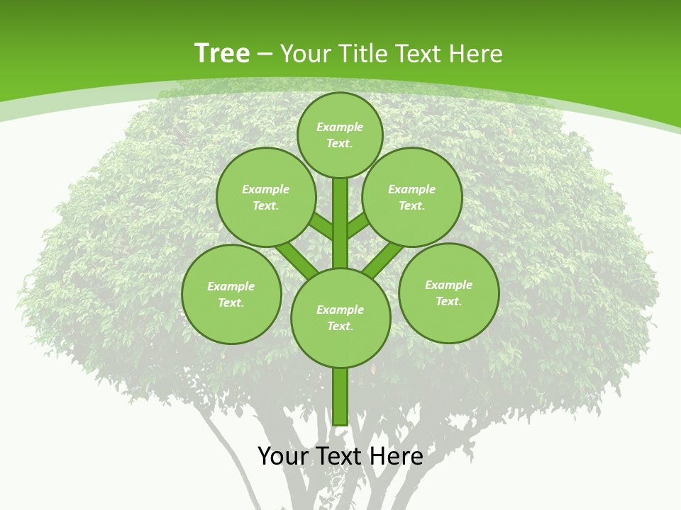 Wood Green Maple PowerPoint Template
