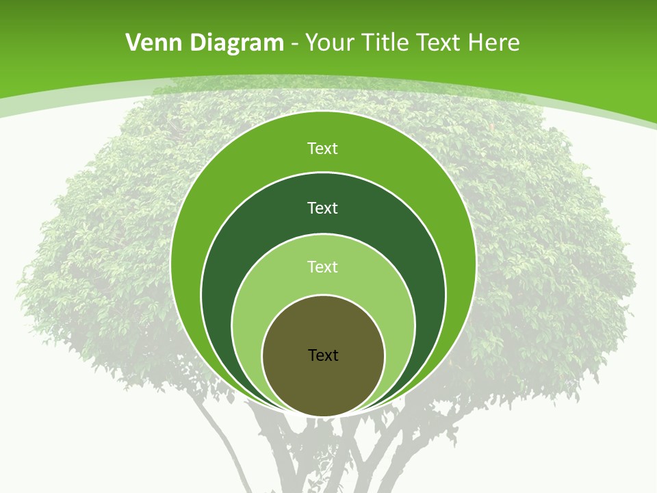 Wood Green Maple PowerPoint Template