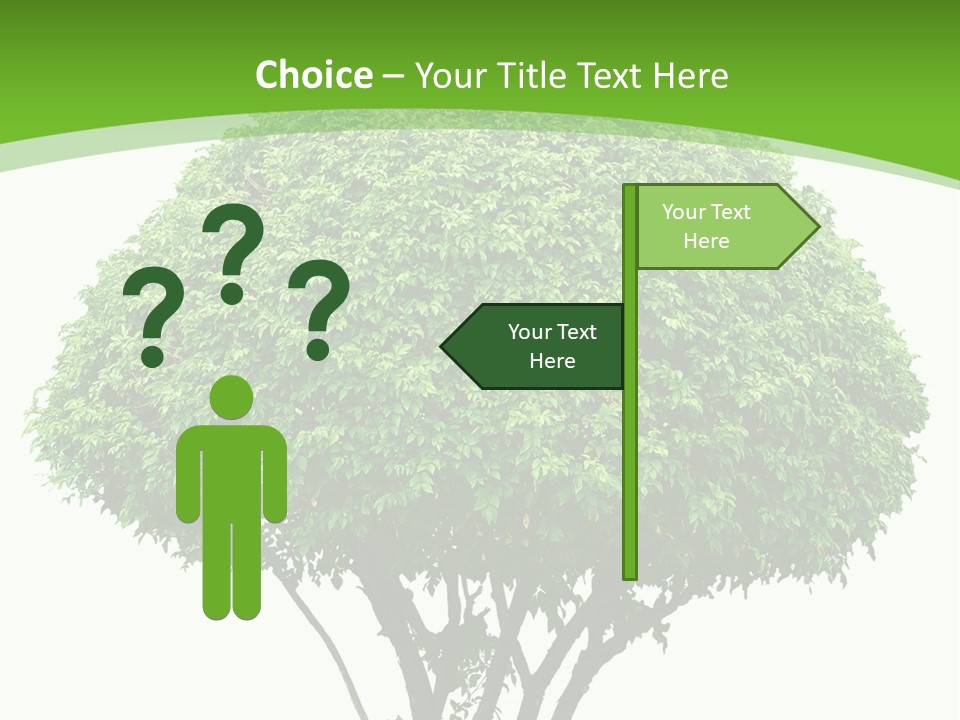 Wood Green Maple PowerPoint Template