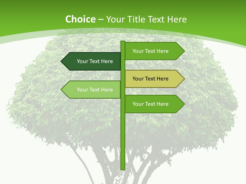 Wood Green Maple PowerPoint Template