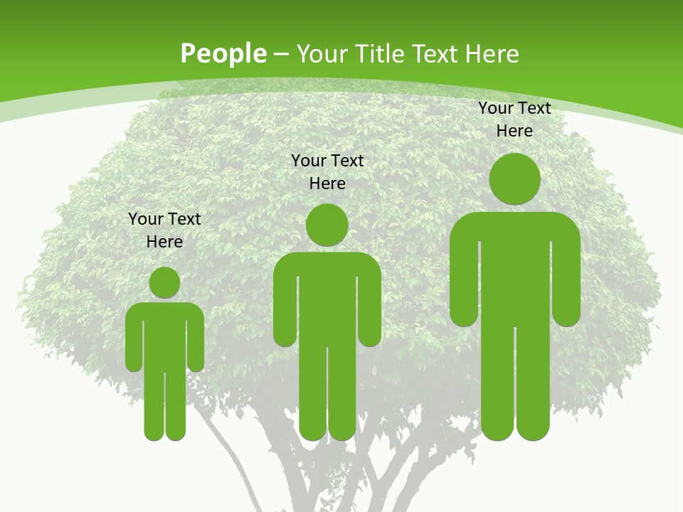 Wood Green Maple PowerPoint Template