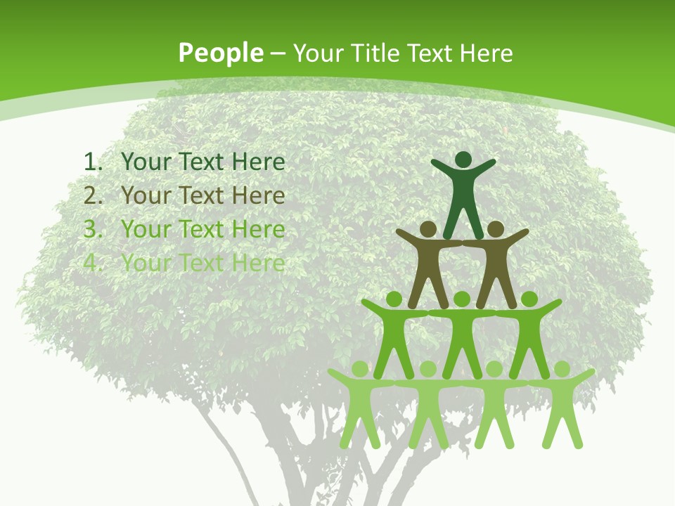 Wood Green Maple PowerPoint Template