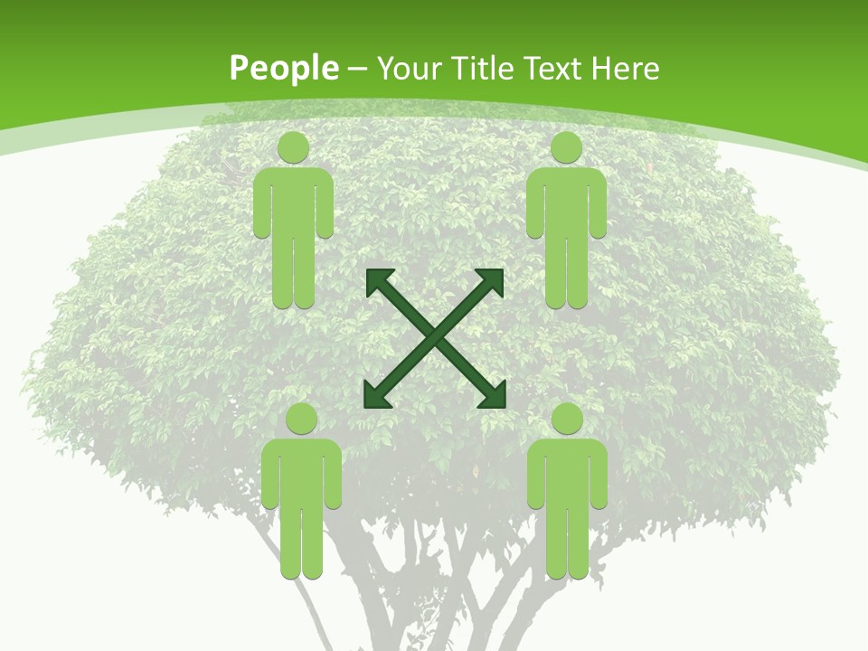 Wood Green Maple PowerPoint Template