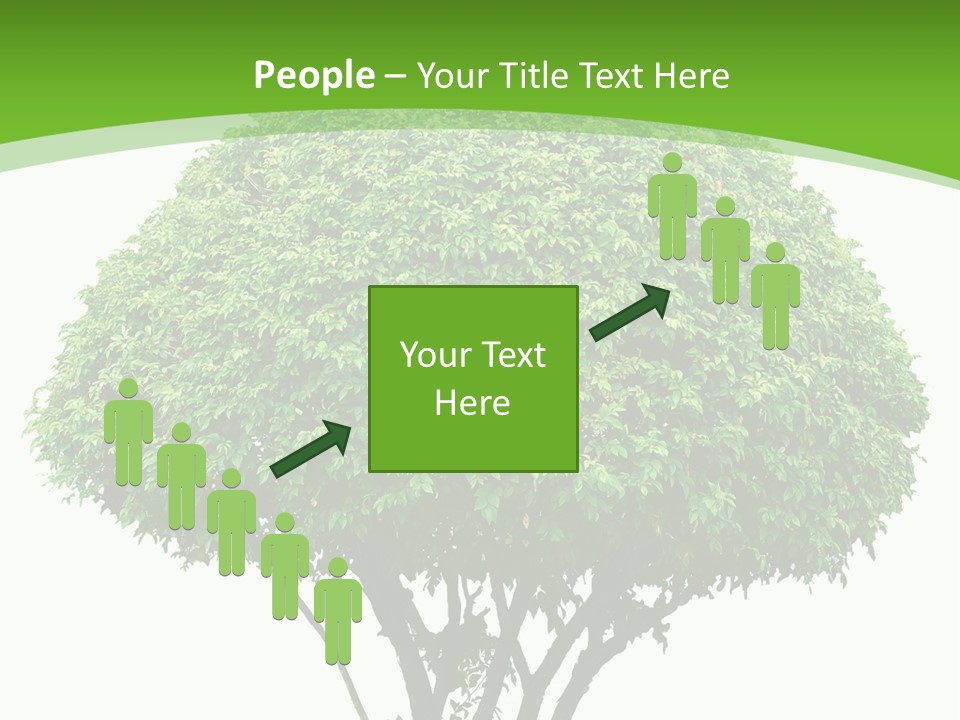 Wood Green Maple PowerPoint Template